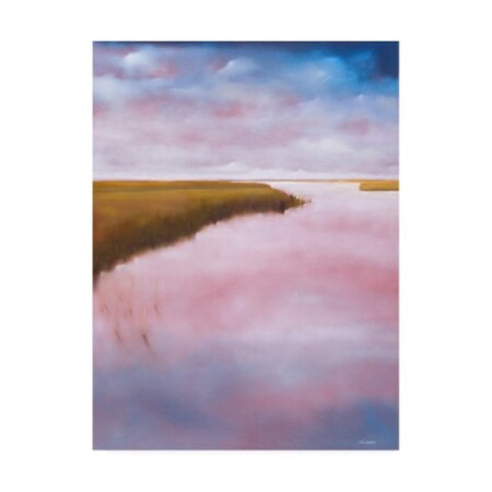 Trademark Fine Art Michael A. Diliberto 'Lowlands' Canvas Art, 14x19 IC00629-C1419GG